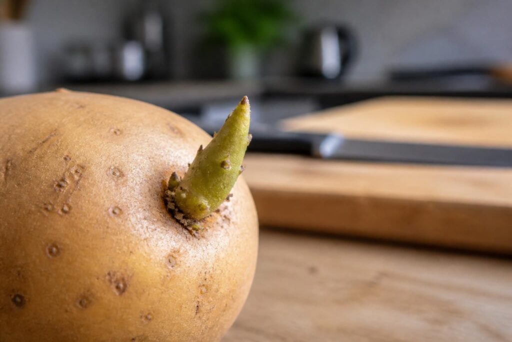 découvrez pourquoi il est dangereux de consommer des germes de pomme de terre crus et comment les éviter afin de protéger votre santé.