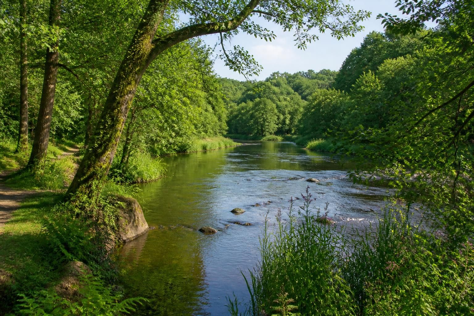 découvrez ty nadan camping, votre escapade paisible en bretagne alliant nature préservée et confort moderne pour des vacances inoubliables au cœur de la région.