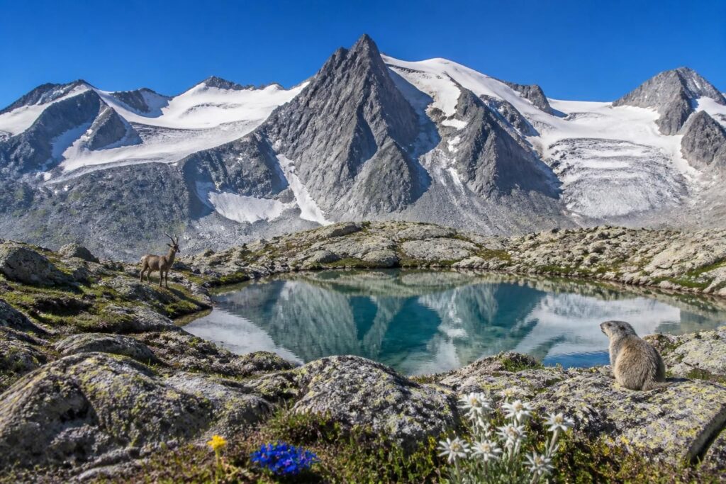 découvrez les trésors naturels du pico del aneto, le plus haut sommet des pyrénées, et explorez ses paysages époustouflants, sa faune unique et ses panoramas à couper le souffle.